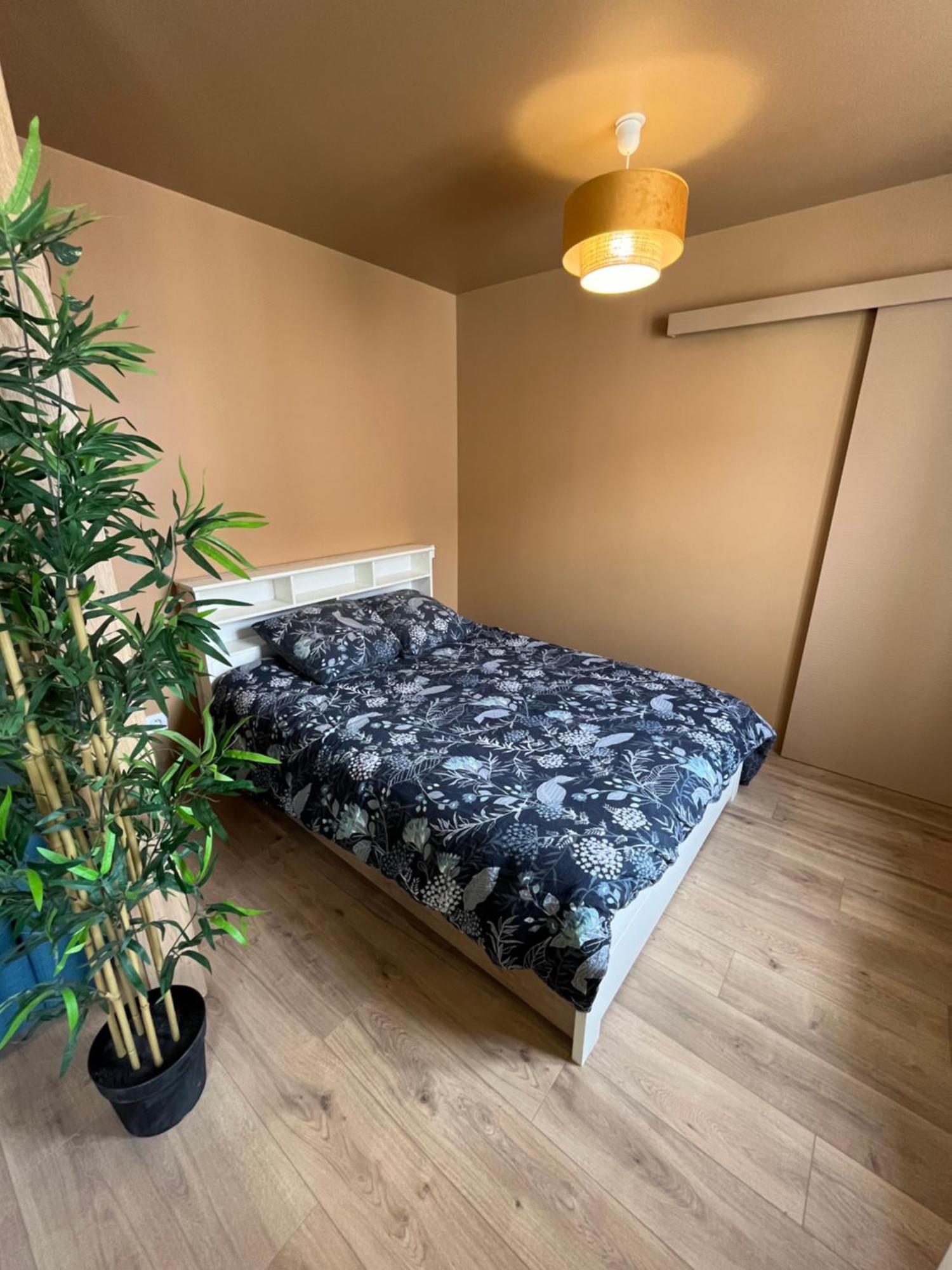 L'Ile De Bali, Sejour En Couple Ou Famille Apartment Roanne Exterior photo